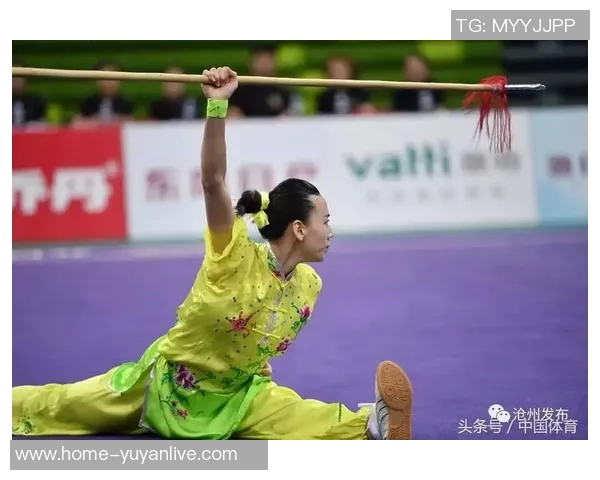 2016年累体育与帕梅拉斯激战回顾:精彩瞬间与赛场传奇 2016年累体育与帕梅拉斯激战回顾:精彩瞬间与赛场传奇