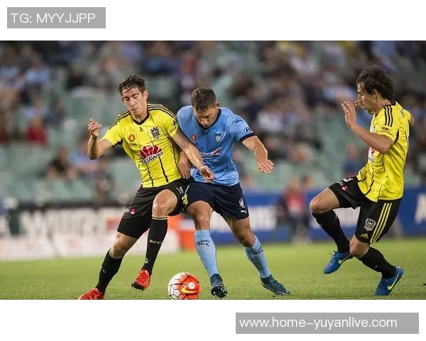 惠灵顿凤凰与墨尔本城足球对决深度分析与战术探讨